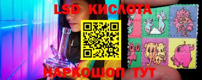 прущие грибы Ярославль