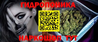 крисы Янаул