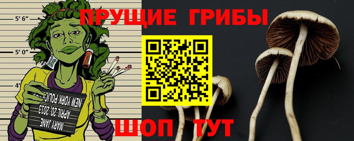 Борзя  Галлюциногенные грибы MAGIC MUSHROOMS  Вход с VPN 